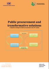 Public Procurement and Transformative Solutions