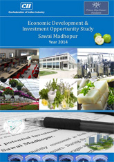 Economic Development & Investment Opportunity Study: Sawai Madhopur 2014, Rajasthan